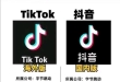 跨境电商tiktok