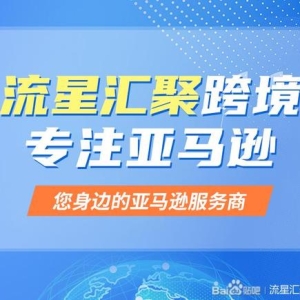 武汉流星汇聚：携手亚马逊，引领跨境电商潮流，拓展海外市场蓝海