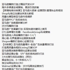 【跨境电商新课+mmixx8】周心驰-无界直通车拉搜索系统课