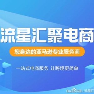 武汉流星汇聚：五对一服务引领亚马逊电商发展，助力客户业绩上升