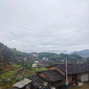 有喜欢在南方福建莆田生活的大学生们嘛，这里环境优美，快递方便