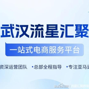 武汉流星汇聚：五对一服务引领，助力合作客户稳健启航跨境电商